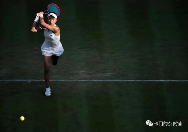 拉菲尼亚的 拉菲尼亚的